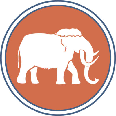 Mammoth Tracks and Tires LLC ICON